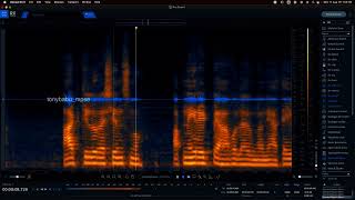 Full Avid Pro Tools | DX Editing Session | Dialogue Editing Update