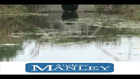 Audrey Manley for Illinois State Senate