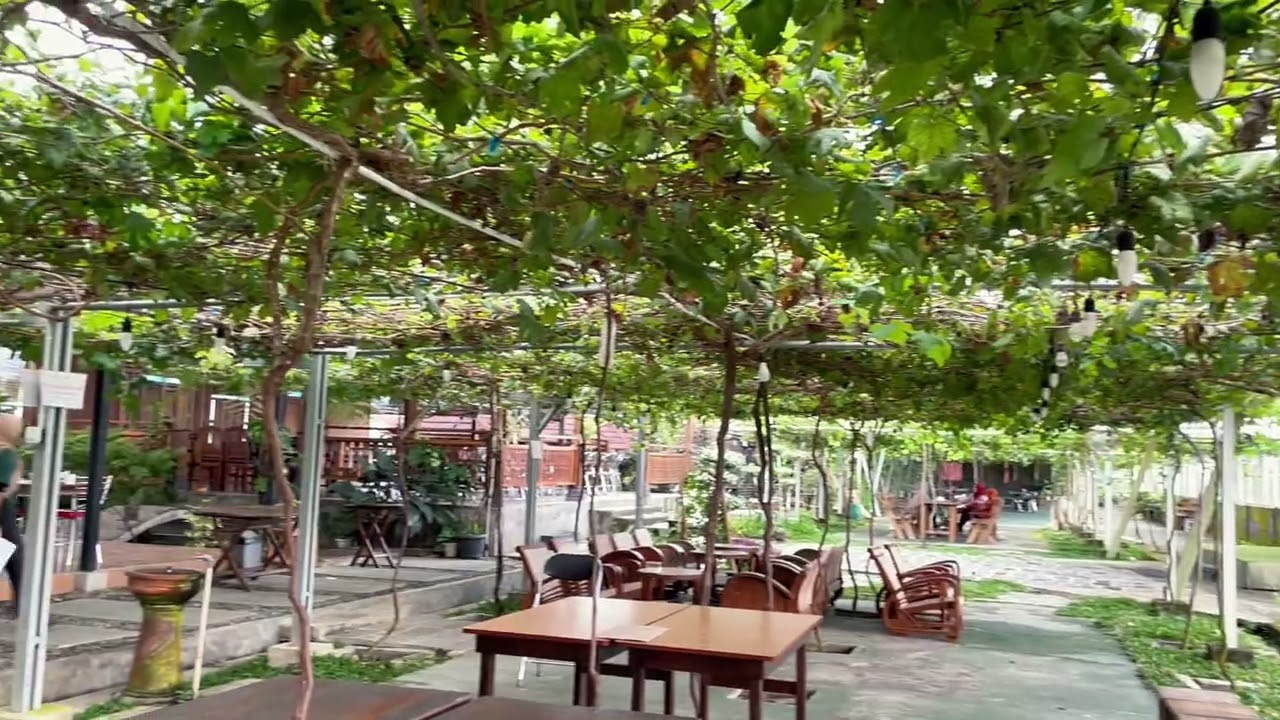 Kebun Anggur Mbah Cho