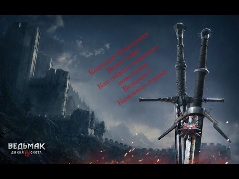 Комплект Новолуния. Ведьмак