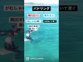 自分のパドル、乗れる人?乗れない人?#shorts