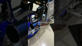 Storywa Herex Tiger Cjdw 30 Detik