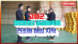 고령군, 2025년산 공공비축미 건조벼 매입 시작