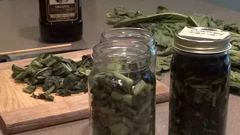 COMFREY OIL INFUSION - EASY HOW TO COLD INFUSION