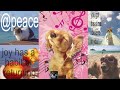 Upbeat hopecore bangers playlist (Crash out repellant) Pt 3 ˖ ݁♬⋆. ̊𝄞