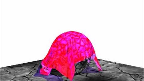 Carrara 8 Bullet Physics Test