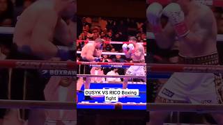 OUSYK VS RICO Boxing fight #boxing #news #usyk #rico #trending #shorts #youtubeshorts #fyp #fight