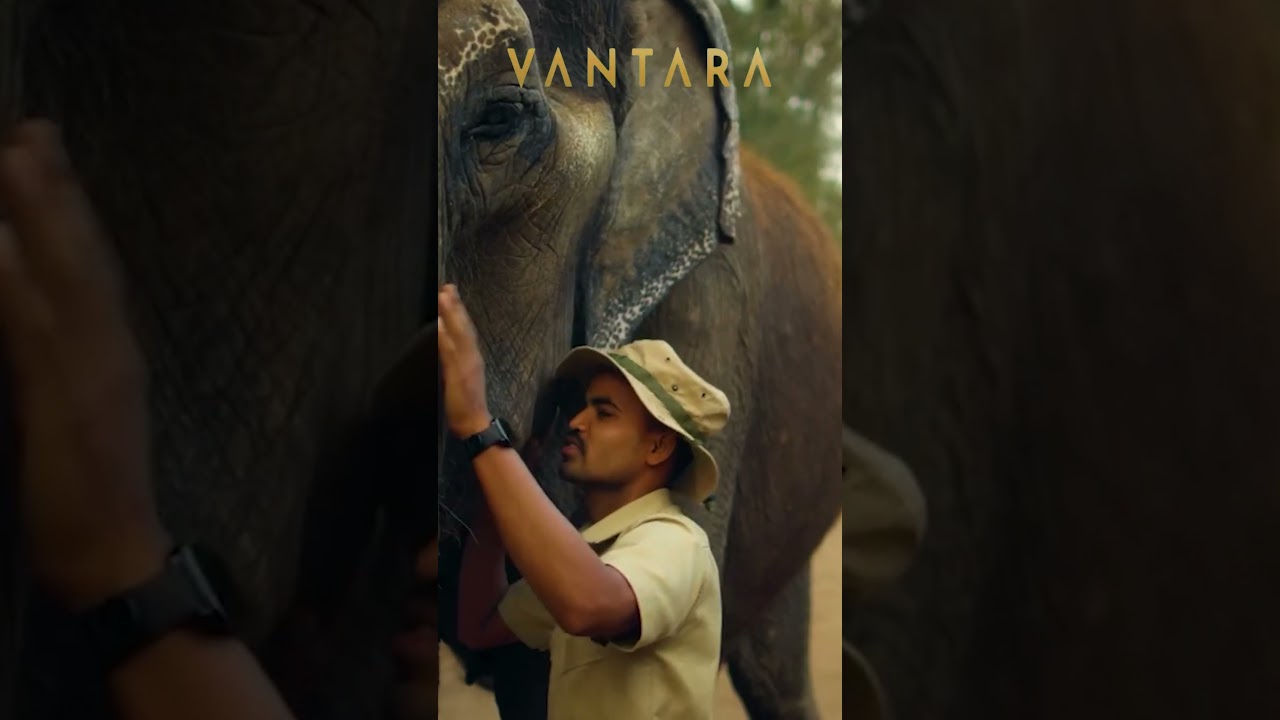 Anant Ambani’s Vantara — redefining luxury as kindness for elephants.