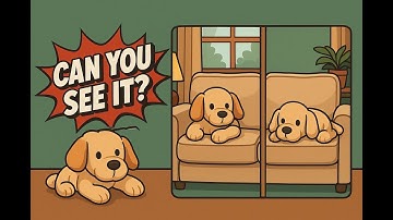 Find 3 Differences! #218