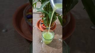 Amla Juice for Hair Growth &amp; Health 💚🌿 | Easy Homemade Drink #Shorts