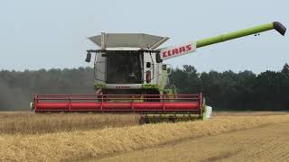 Gerst Dorsen Met Een Claas Lexion 760 Fendt 1050