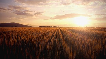 Robota: UAV Product Promotion for Agriculture Survey