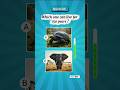 Can You Guess Which Animal Lives 150 Years ?#Animal Quiz Challenge#quizshorts