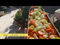 Cuisson solaire 5kg lgumes  solar cooking 5kg vegetables 