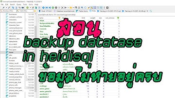 สอนเปิดเซิฟ GTA V FIVEM ep.1 สอน Backup database ใน heidisql