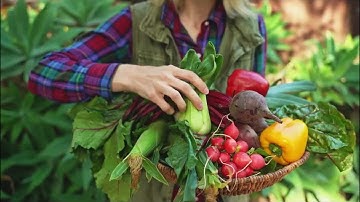 FROM FARM TO FORK as one of the policy areas of the European Green Deal strategy