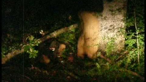 Beta Sigma Chapter of Alpha Phi Alpha - Spring 