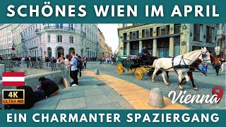Österreich Wien  Spaziergang im Frühling  4K Rundgang in der Wiener Innenstadt 2024