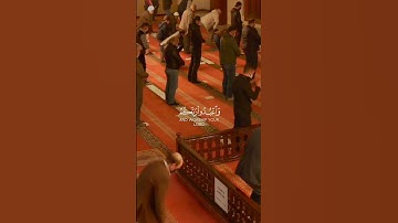 اكتب شئ تؤجر عليه ♥♥قران كريم || عبدالرحمن مسعد 