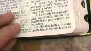 Proverbs 17 King James Holy Bible