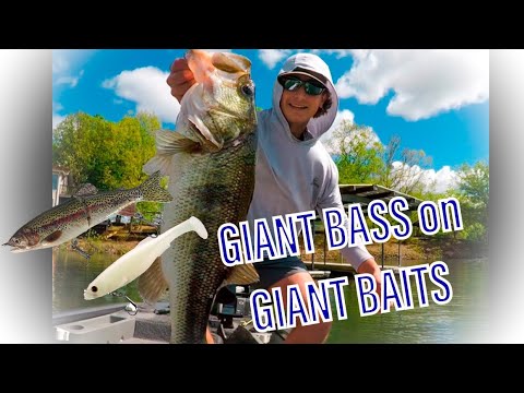 Big Bass on BIG BAITS!! Smith Lake bigs crush big swimbaits and glidebaits 🤯