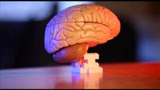 SA2 Advance Preview: The Discriminating Role of the Blood Brain Barrier
