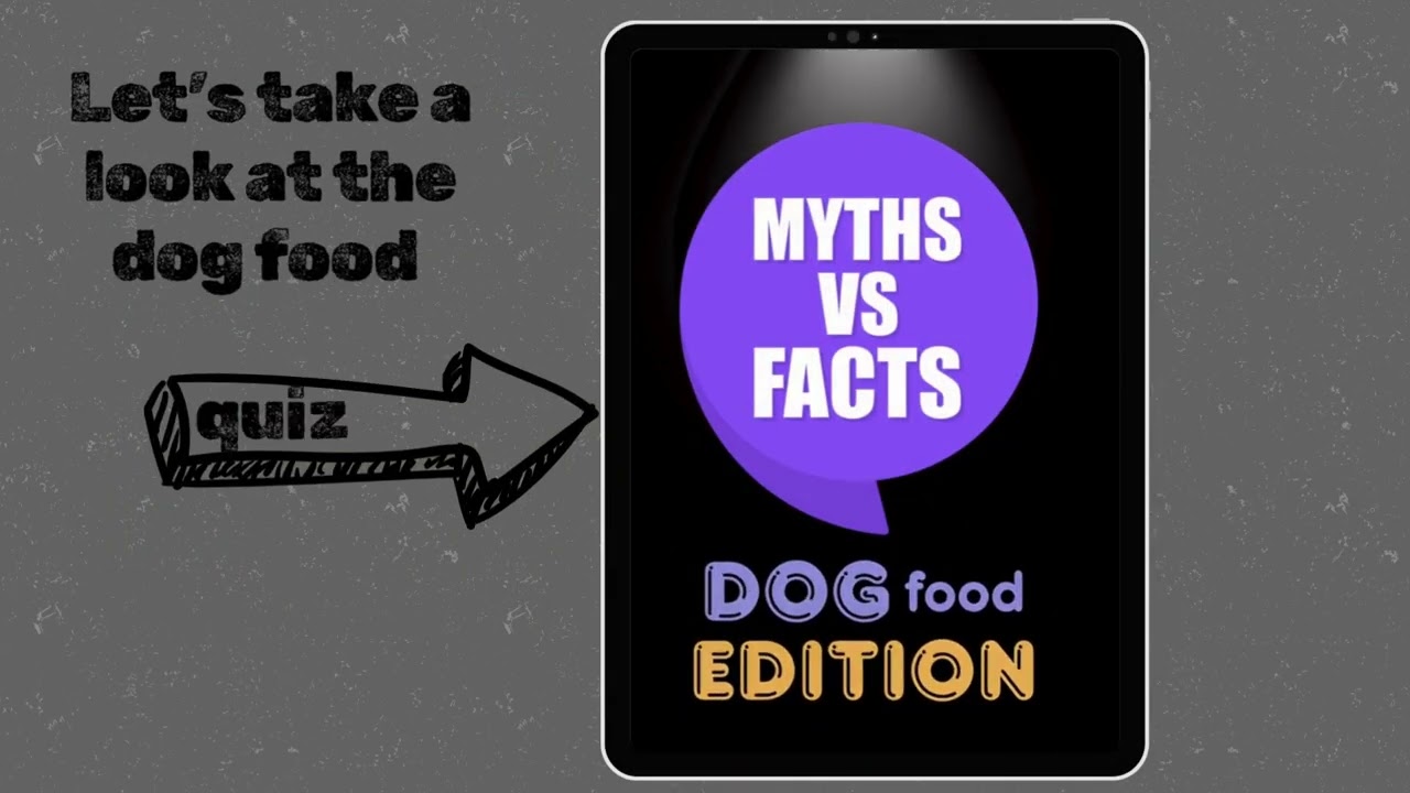 Knova’s Pembroke Welsh Corgis: Our Dogs and their Daily Lives