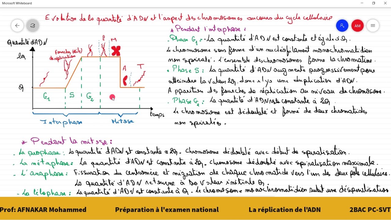 8- Variation de la quantité d'ADN- Duplication semi conservative de l'ADN 2BAC PC/SVT/1BAC SM