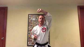 Wado Ki Karate Workout, Lesson 1 The Basics— White Belt