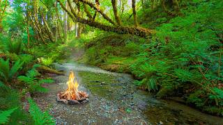 Peaceful 4K Campfire by the Creek | Real Fire & Stream Sounds for Instant Calm (Ep 1) screenshot 3