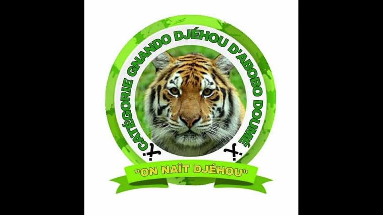 Willy L'araignéé (La Catégorie Gnando Djehou Abobo Doumé)