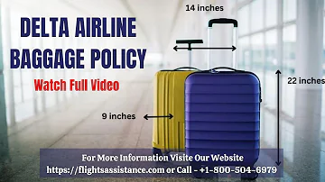 Delta Airlines Baggage Policy || Everything You Need to Know || Baggage Allowance