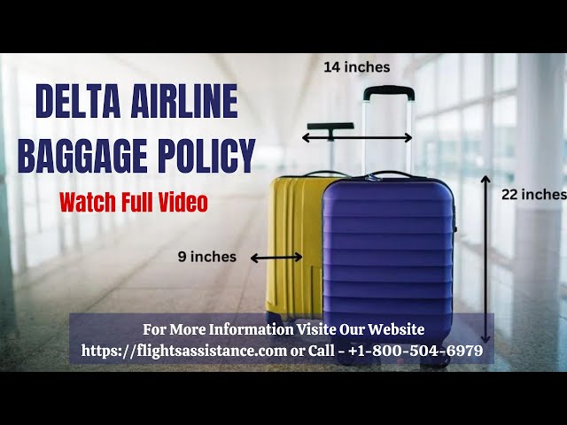 Delta Airlines Baggage Policy, Everything You Need to Know