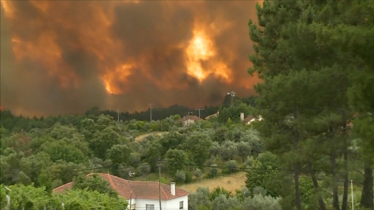 Decenas de muertos y heridos en un incendio forestal en Portugal - YouTube