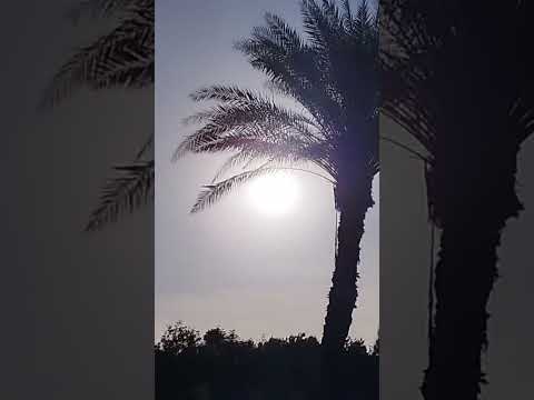 طلعت يا ما احلى نورها