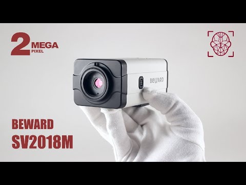 BEWARD SV2018M: автоматическая подстройка фокусировки, бесплатная аналитика, детекция лиц, до 60 к/с