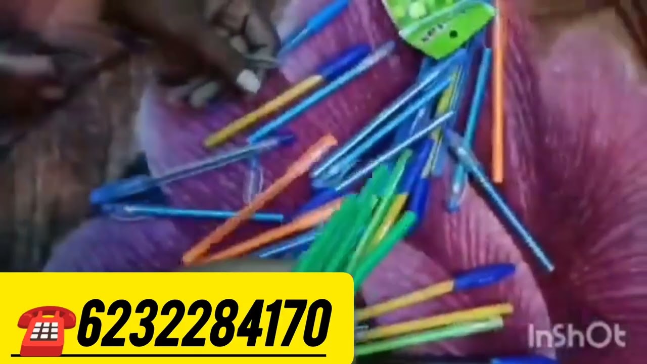 Ghar baithe Packing ka business