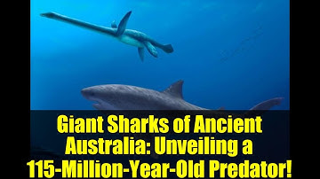 Giant Sharks of Ancient Australia: Unveiling a 115-Million-Year-Old Predator!