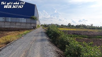 Nhà vườn Long An | Đất mặt tiền đá xan để xây nhà vườn, thiết kế mô hình vườn ao cây ăn trái