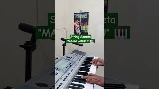 String Soneta Matahariku  short shortsyoutube short