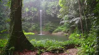 Rain Sounds 10hrs for Sleep, Meditation, Relaxing, Studying, Insomnia, White Noise, Waterfall sounds