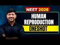 Human Reproduction 100% NCERT Based NEET Must Watch ! #mittalsirbiology #rgajmer