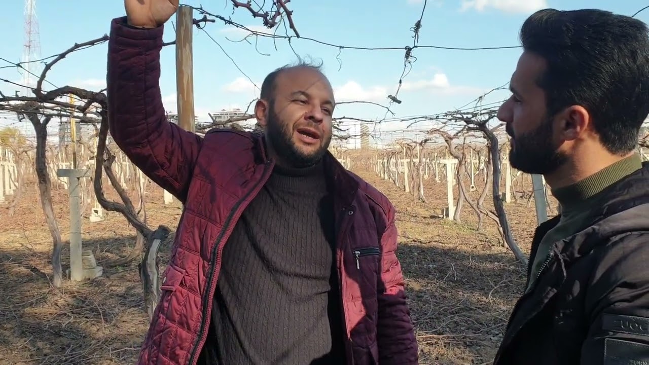 سلوان سەردارجوتیاری نمونەیی لەشاری هەولێر  # بەهەشت و ترێ#شهاب حلاق#shahab halaq