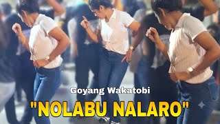 JOGET ASYIK SALING ADU SKIL GEOL 🔥 Lagu Nolabu Nalaro wakatobi 🏝