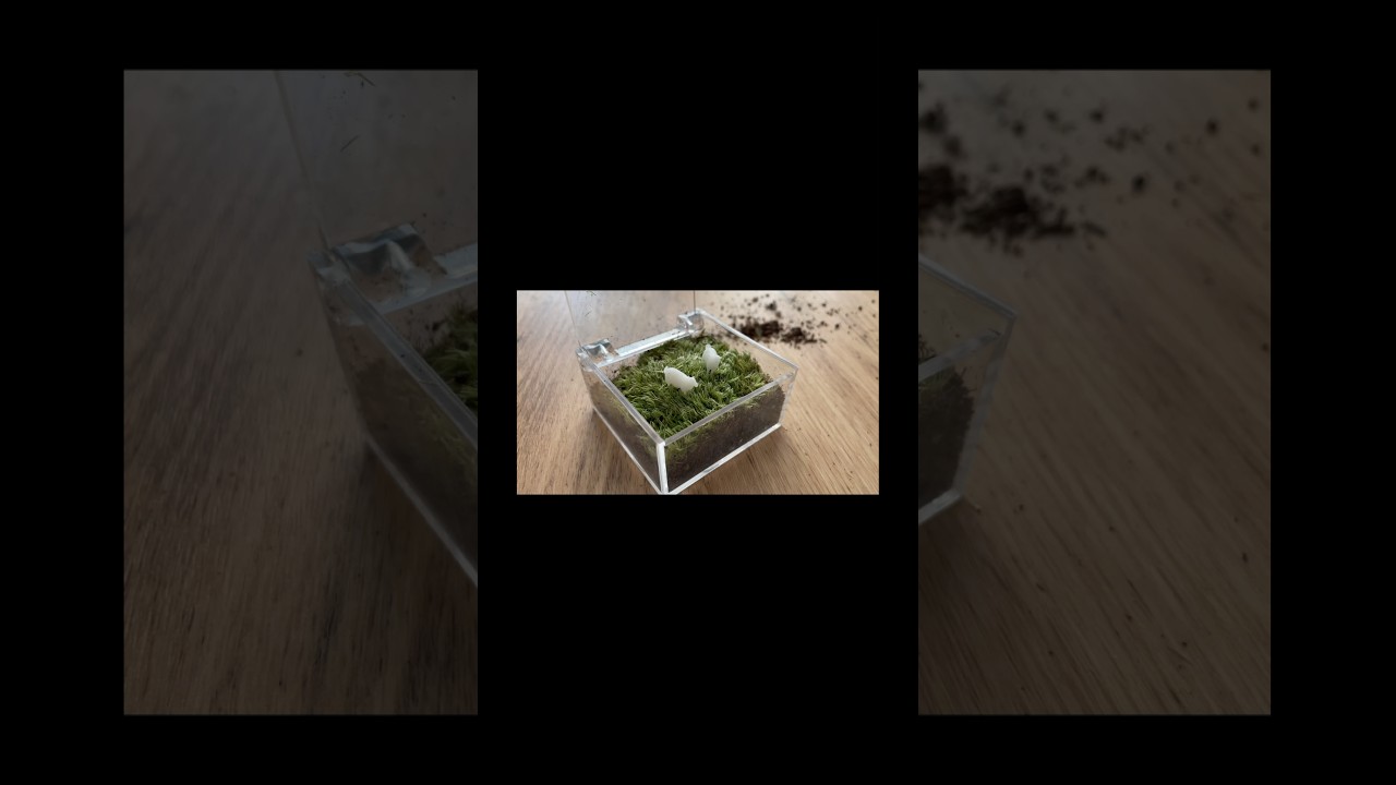 Нрав в последнее время снимать просто свой день 😴