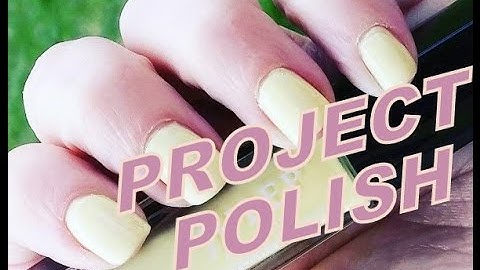 Project Polish ~ 2017 Intro