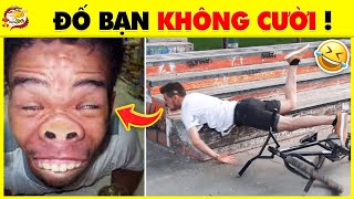 😂 TỔNG HỢP 30+1 Video Hài Hước Bá Đạo Và Lầy Lội Nhất Giúp Cho Tết 2024 Vui Banh Nóc | Nhanh Trí