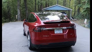 Day 328 Tesla Ruby Change of Routine