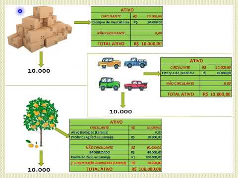 CULTURAS PERMANENTES: PRODUTO AGRÍCOLA VALOR JUSTO - Parte 1