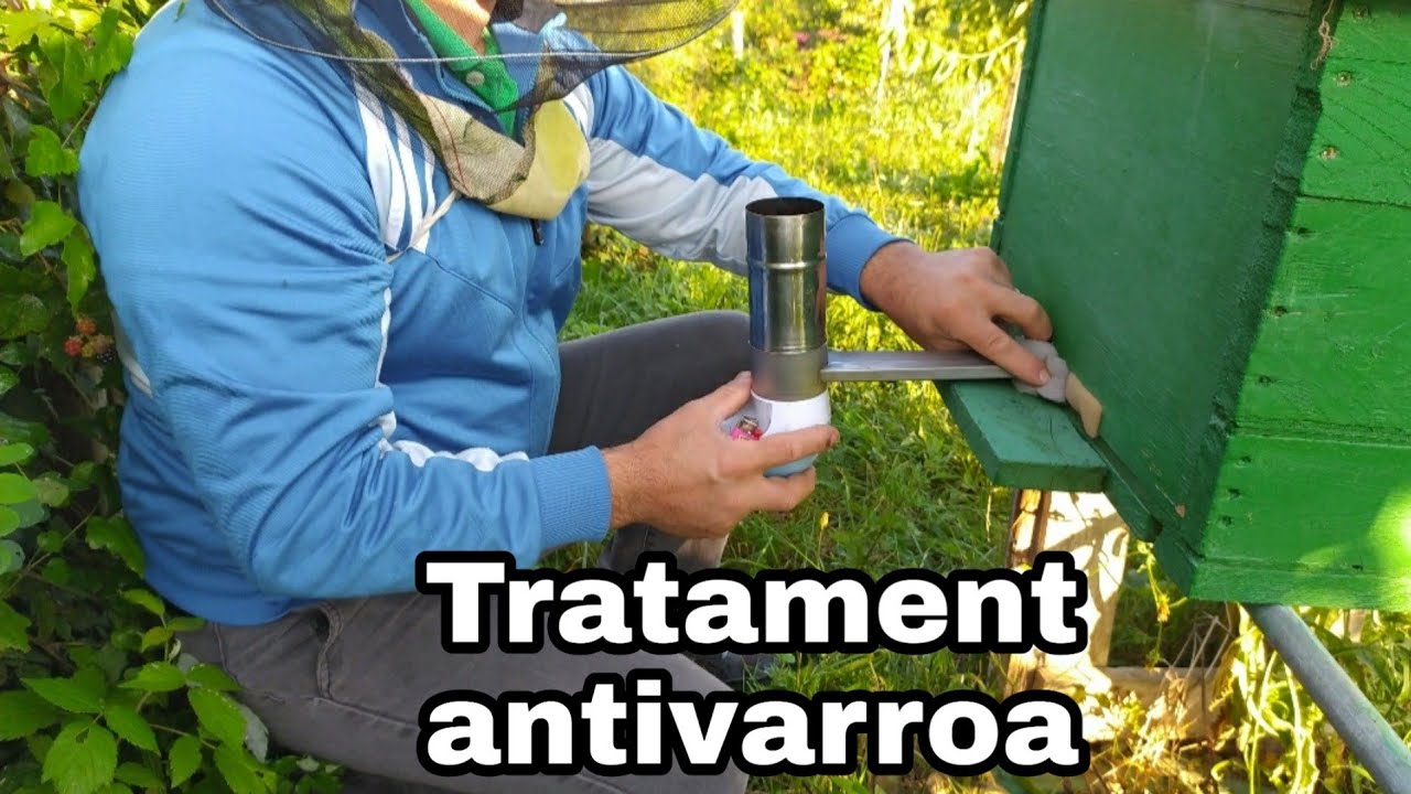 Tratament antivarroa -Aspecte importante legate de tratament